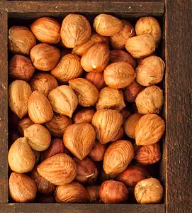 hazelnuts (filberts)