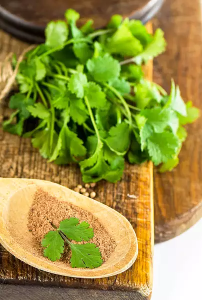 Industrial Parsley and Coriander Chopping Machine 