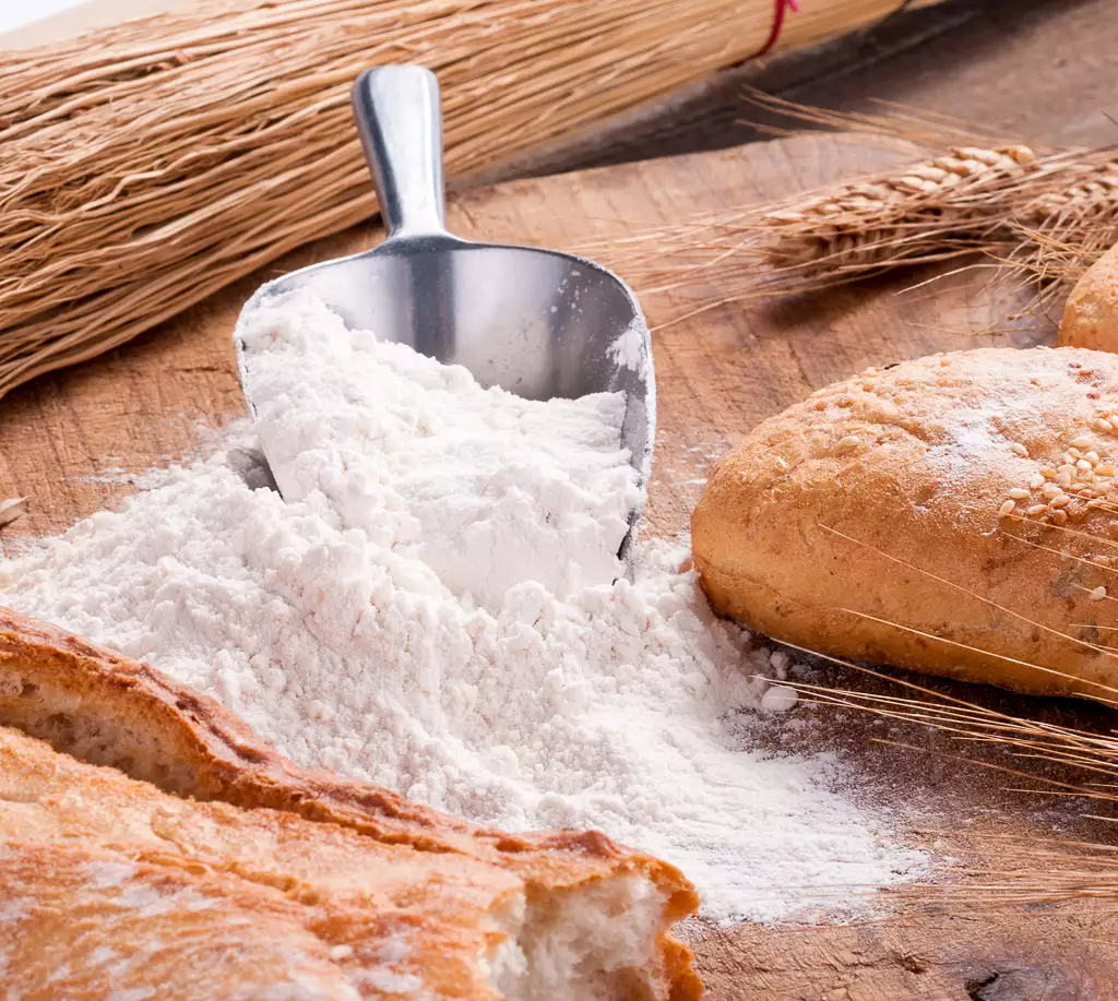 bread flour