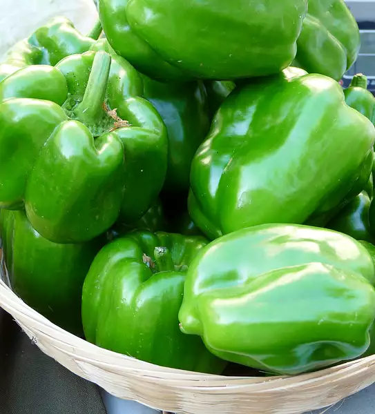 . Box of Green Bell Peppers, 20 Lbs
