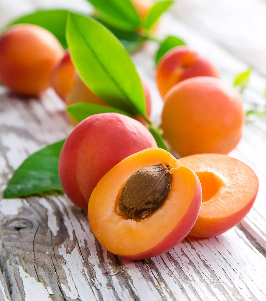 nectarines