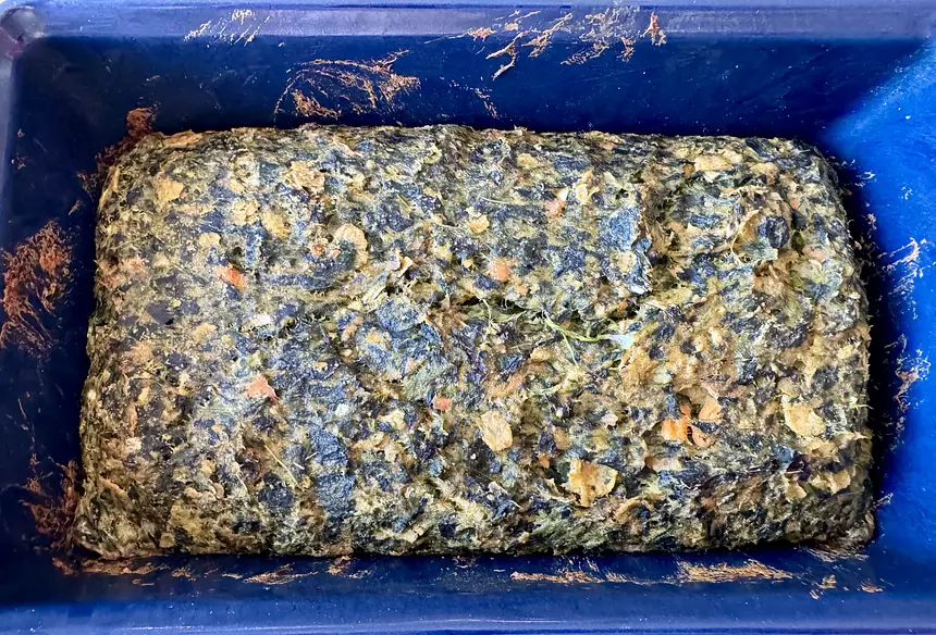 Salmon-Spinach Loaf