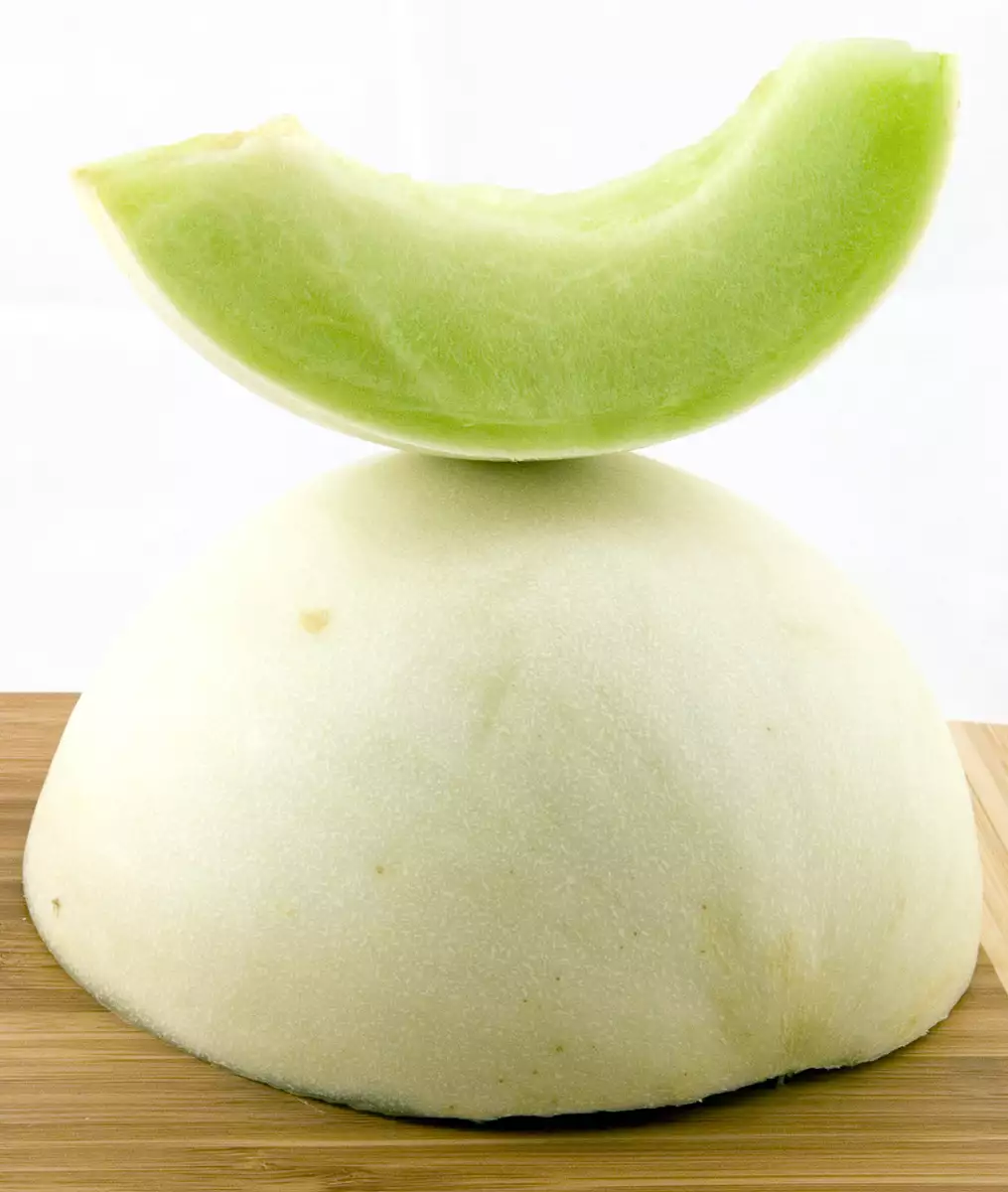 honeydew melon