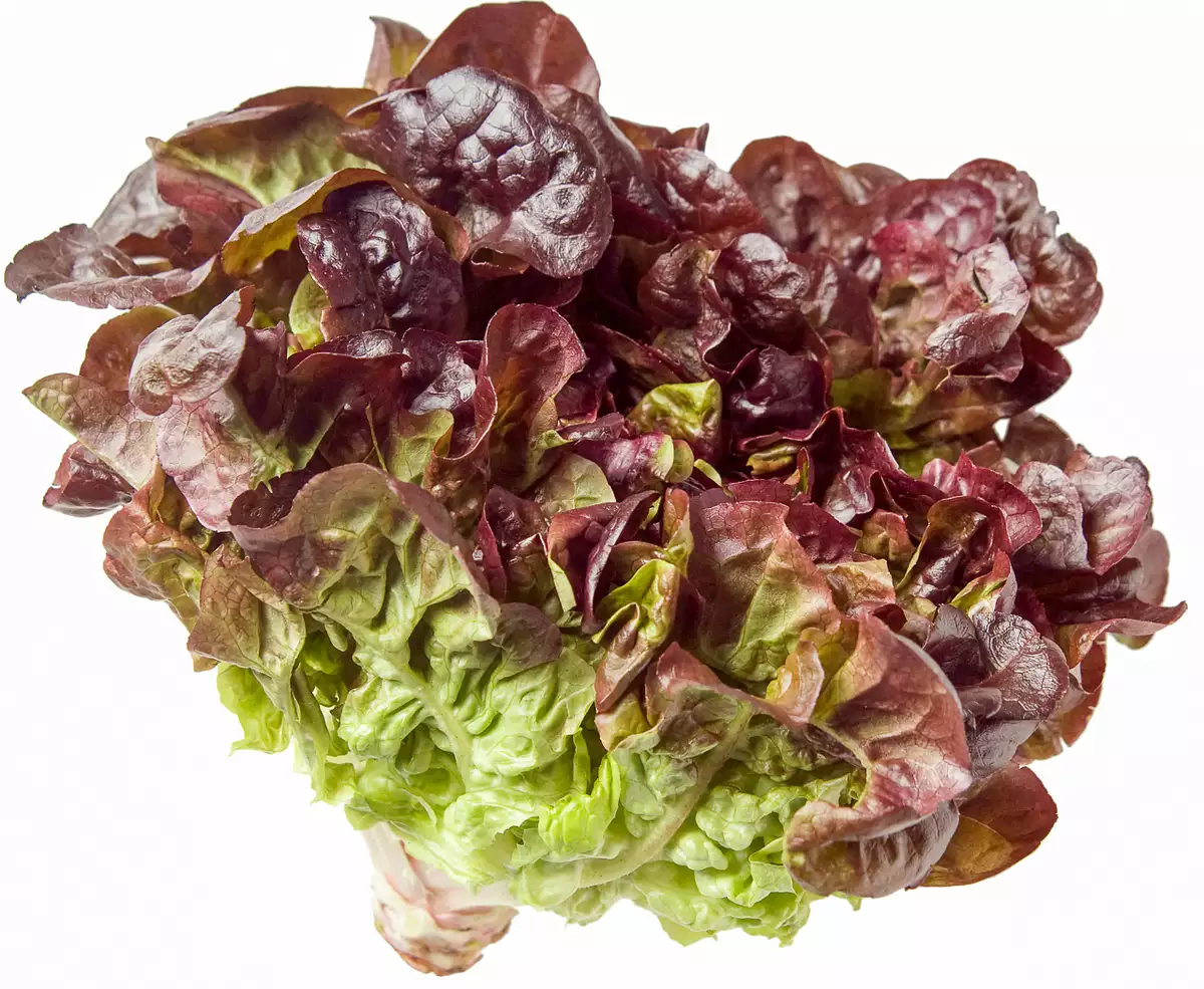 red lettuce