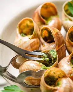 snails