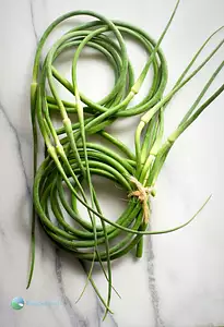 garlic scapes