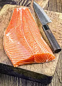 salmon