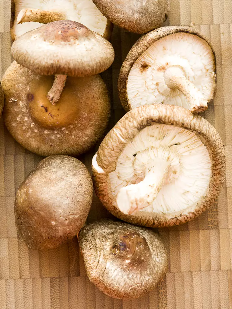 mushrooms, shiitake