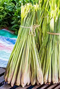 lemongrass