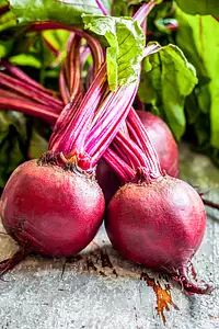 beets