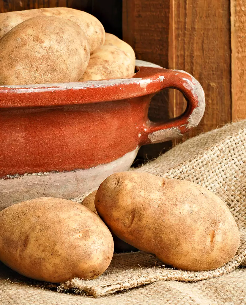 Russet Potatoes  With all the traditional flavors, ingredients, and foods  they love.