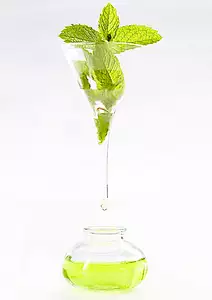 mint extract