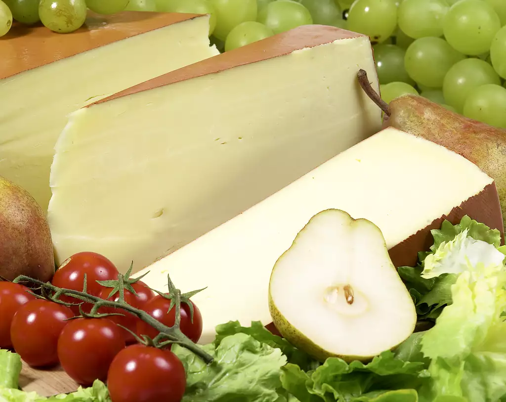 fontina cheese