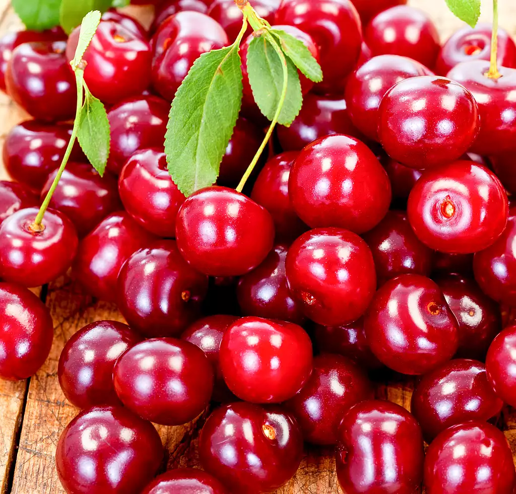 sour cherries