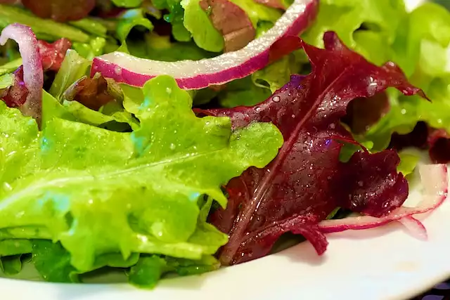 Mixed Green Salad