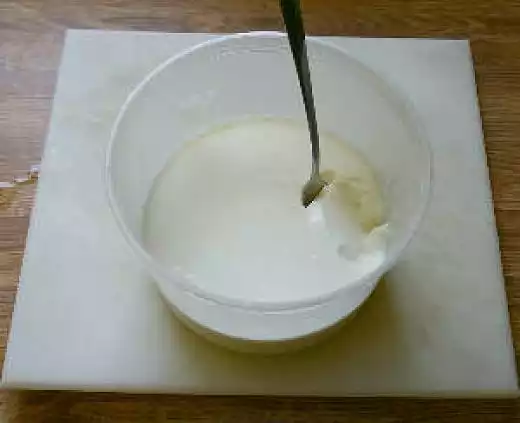 Homemade Yogurt-Srilanka