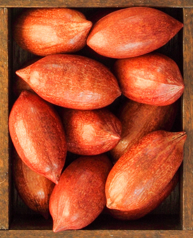 pecans in their shell