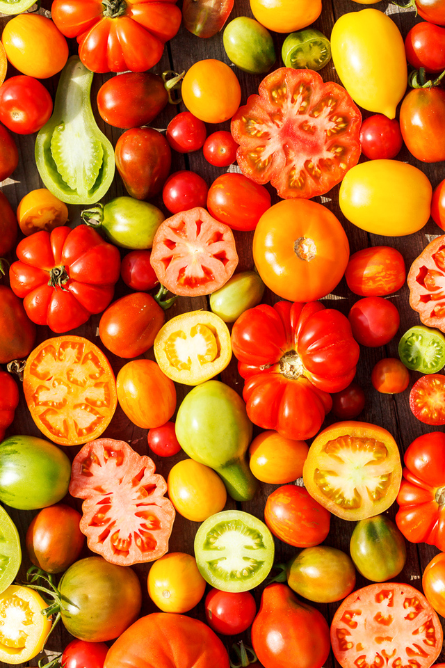 varieties of tomatoes