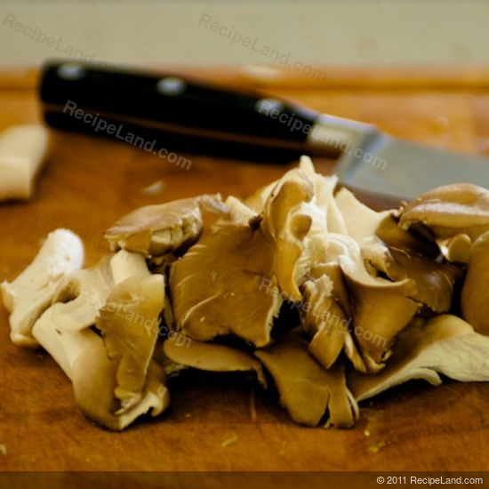 oyster mushrooms