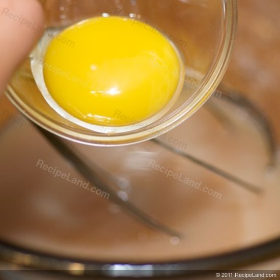 egg yolks