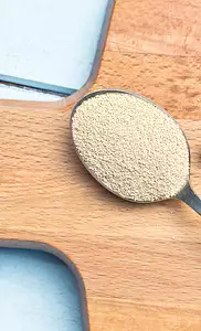 yeast, active dry