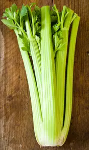 celery