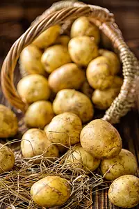 potatoes